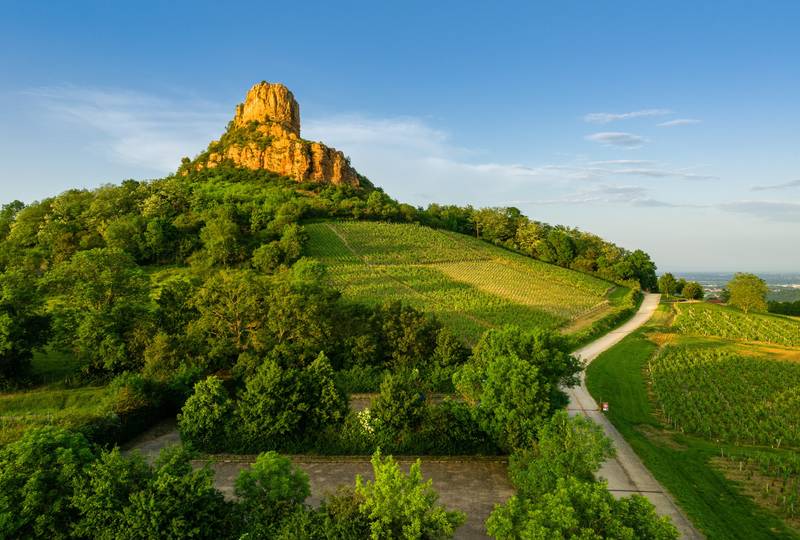 Journée à Cluny et la Roche de Solutré | 4 juin 2026